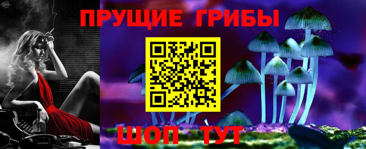 Балашов  Псилоцибиновые грибы MAGIC MUSHROOMS  цены наркотик  Вход с VPN 